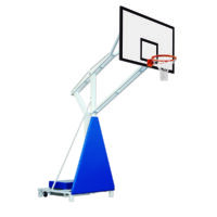 Canasta baloncesto-minibasket trasladable tablero impermeable extensión 165  cm BT00010-1 - ESTEBAN SG&E