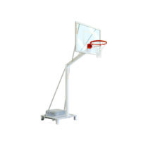 Canasta minibasket trasladable metacrilato